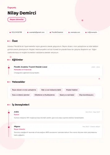 Reyon Görevlisi cv indir